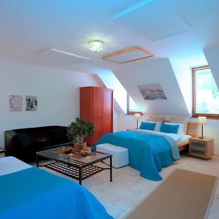 Veža Gasthof 3*